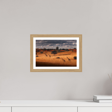 12 x 8″, S+M Oak Frame + Border SYMPHONY OF SILENCE