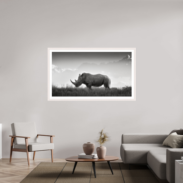 64 x 36″, Exhibition White Maple Frame + Border ANCIENT GRAVITY