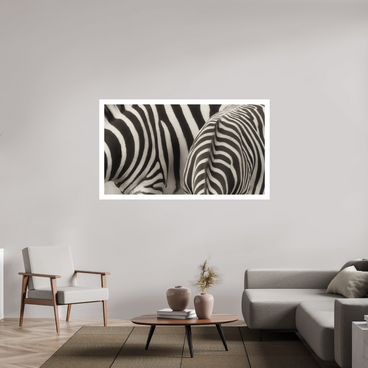 64 x 36″, XL + Exhibition Print NOT THE SAME