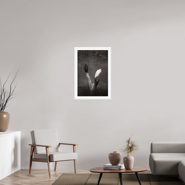 20 x 30″, L+XL White Frame + Border TWO TRUTHS