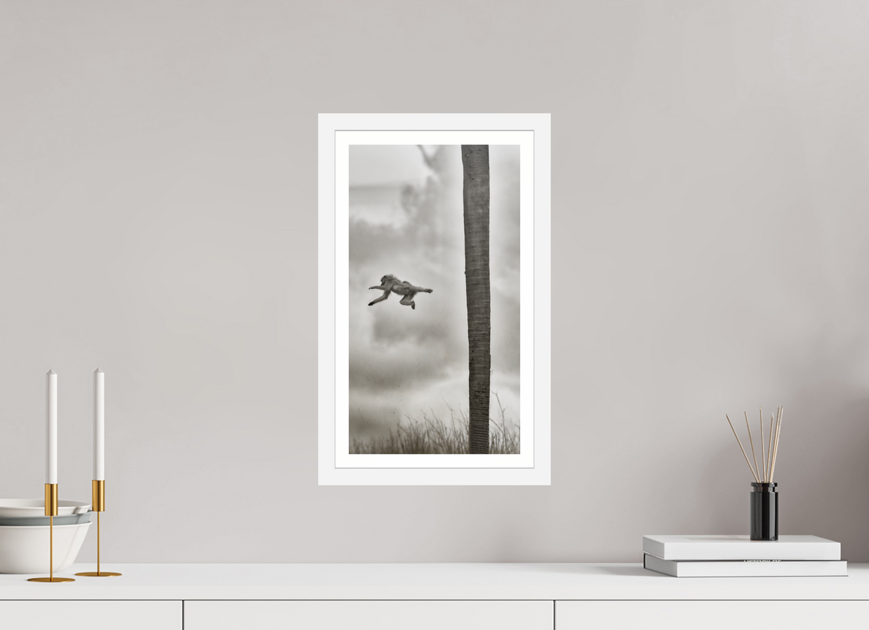 9 x 16″, S+M White Frame + Border Beyond The Branch
