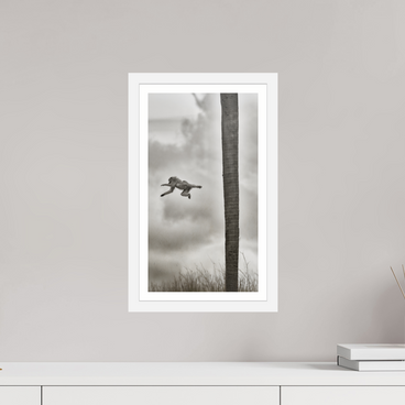 9 x 16″, S+M White Frame + Border Beyond The Branch